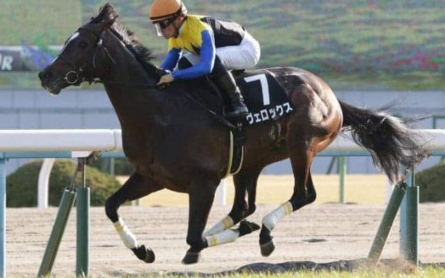 川田将雅が元愛馬と再会！「可愛がられてることがしっかり伝わる雰囲気でした」　2019年牡馬クラシックを沸かせた実力馬の今