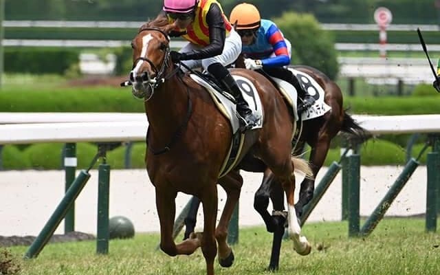 【今日の注目ポイント】京都で2歳牝馬GIII・ファンタジーS