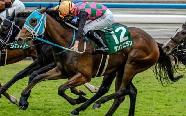 【ファンタジーS】過去10年の勝ち馬はすべてキャリア2戦以下 超好成績を収める要注目の血統とは