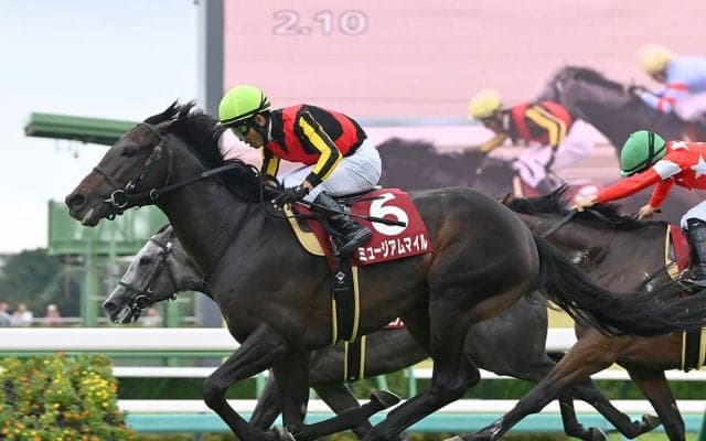 【競馬予想】天皇賞・秋で注目は「今年勝利が多い」血統　牝系が魅力の６歳馬も本格化の気配