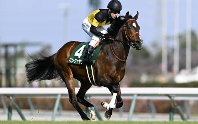 【豪・ゴールデンイーグル結果】パンジャタワーは初の海外レースで5着に健闘