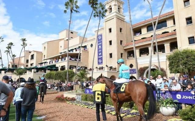 アメリカ競馬の祭典「ブリーダーズカップ」 2日目は日本馬が計6頭出走！