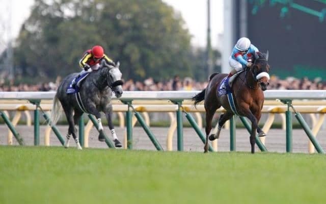 【天皇賞(秋)】豪華メンバーが集う一戦 もっとも多くのGI馬が揃った年は？