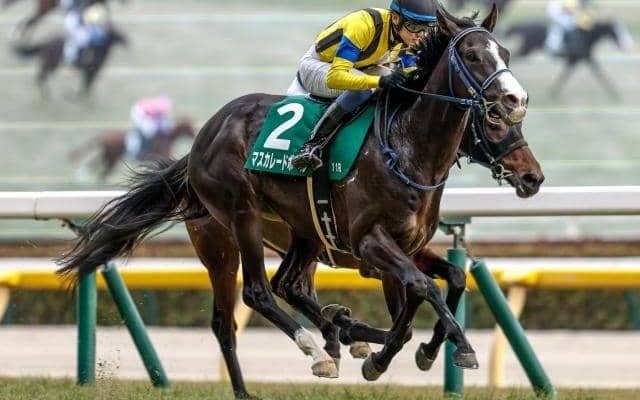 【天皇賞(秋)前日オッズ】マスカレードボールが2.8倍で1番人気