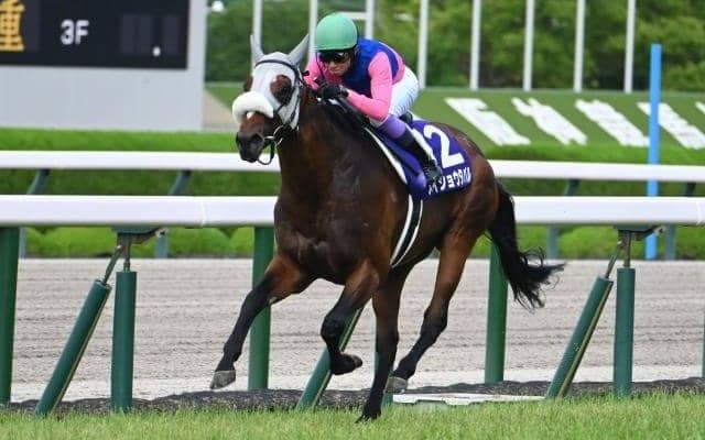 【AI予想・天皇賞(秋)】人工知能は過小評価されている実力馬に◎！ 前走がフロックでないことを証明する走りに期待