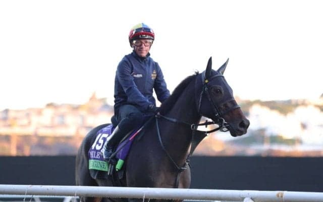 【BCマイル枠順】デットーリ騎乗 アルジーヌは9番ゲート…日本の馬券発売あり