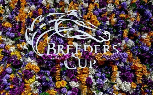 【ブリーダーズカップ】日本馬6頭が世界頂点へ挑む…フォーエバーヤングはBCクラシックへ、2日目見どころ