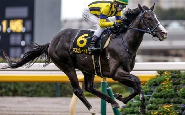 【今日の注目ポイント】3歳と古馬の一線級が激突する天皇賞(秋)
