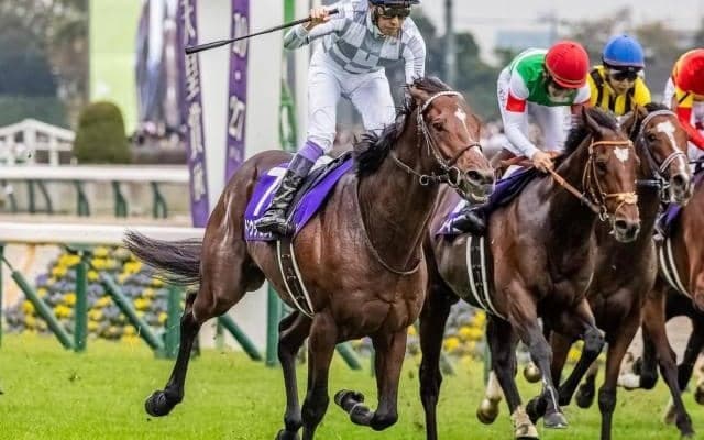 【天皇賞(秋)】極端な波乱は少ない傾向 注目は“春から直行”のローテ