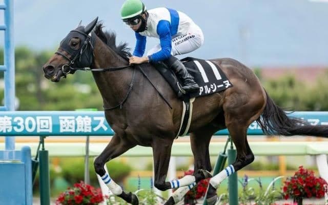 【米・BCマイル結果】アルジーヌは直線追い上げるも6着 ノータブルスピーチがG1・4勝目