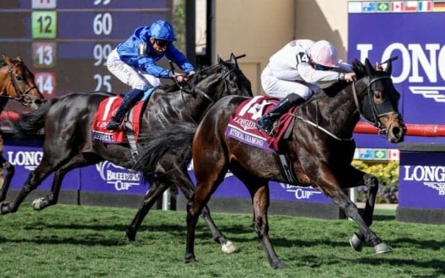 【BCターフ】ビュイック「相手が上だった」…レベルスロマンス3度目のVならず