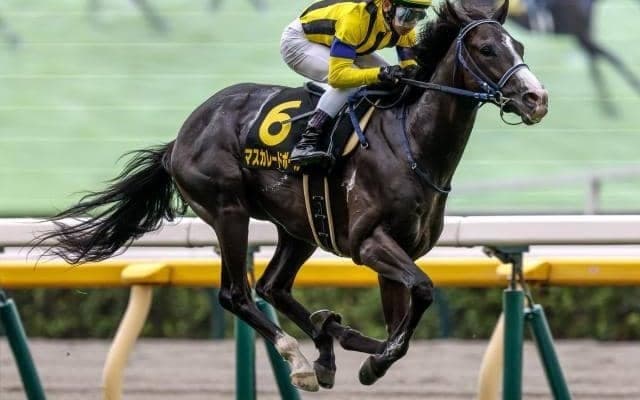 【天皇賞(秋)・馬体重】マスカレードボールは470kg(+4)、タスティエーラは508kg(+10)