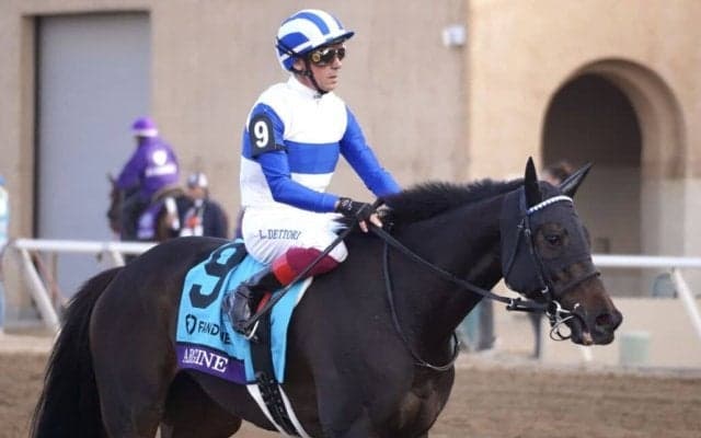 【BCマイル】デットーリ、最後のBCマイル挑戦は6着…アルジーヌは追い込み届かず6着まで