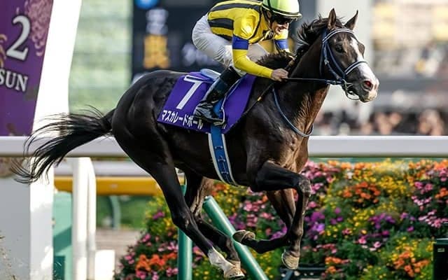 【天皇賞(秋)結果】3歳馬マスカレードボールが差し切りGI初V！ ルメール騎手は3週連続GI制覇