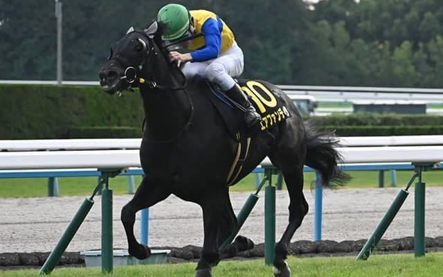 【まほろばS結果】10番人気エアファンディタがゴール前の激戦を制す