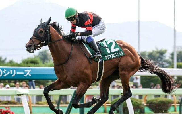 【競馬予想】天皇賞・秋は勢いある３歳馬が有力も、ここが大目標の５歳馬の躍進にも要注意