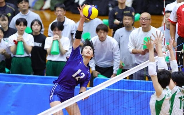男子は清風と初出場の常翔学園、女子は大阪国際と金蘭会　春高バレー大阪府代表決まる