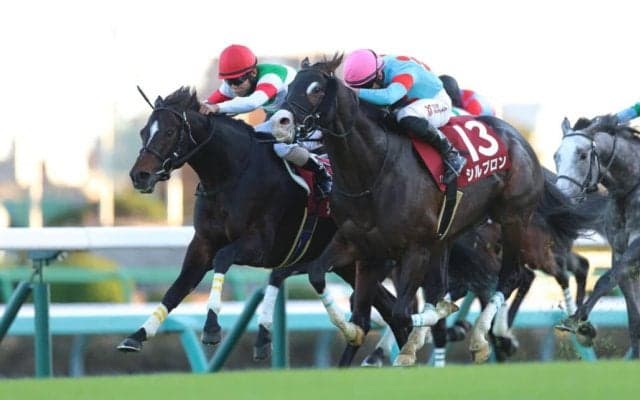 【豪メルボルンカップ】シュヴァリエローズ、好枠5番から南半球最大の長距離決戦へ