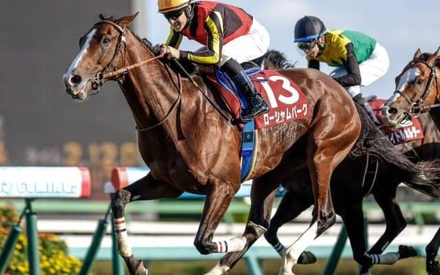 アルゼンチン共和国杯など4重賞 地方ではJBC/今週の競馬界の見どころ