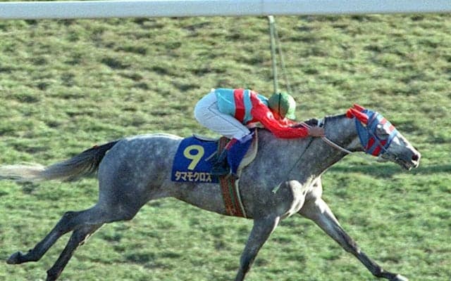 『ウマ娘』でもハングリー精神に満ちたタマモクロスの快進撃　芦毛のライバルとの激闘には列島が熱狂