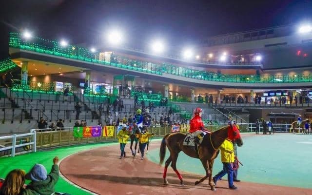 3日は船橋＆門別でダート競馬の祭典「JBC」 一日にダートグレード重賞4連発！