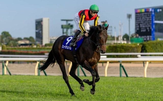 【天皇賞・秋】C.デムーロ「いい競馬してくれた」レース後ジョッキーコメント