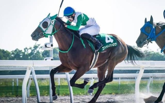 【門別・JBC2歳優駿注目馬】JRA勢はいずれも1勝馬 経験豊富なホッカイドウ競馬所属馬が力をみせるか