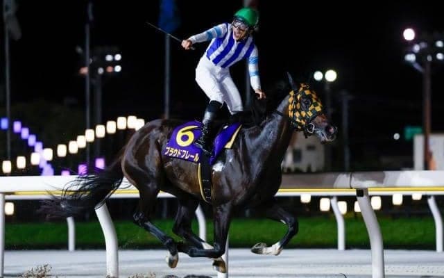 【船橋・JBCレディスC注目馬】ダートの最強女王を決する戦い 強力JRA勢に地元のDG覇者が挑む