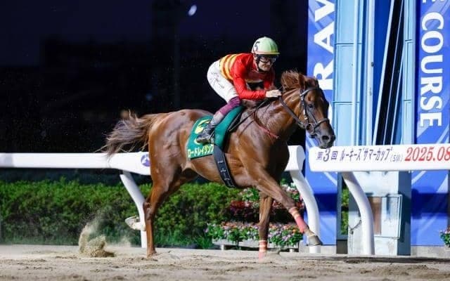 【船橋・平和賞枠順】前々走でルーキーズサマーCを制したロードレイジングは7枠7番