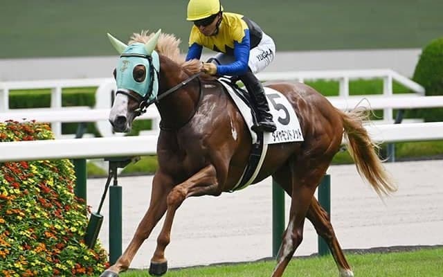 【京王杯2歳S想定騎手】ダイヤモンドノットはC.ルメール騎手、シャオママルはA.プーシャン騎手