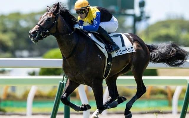 【先週のJRA抹消馬】22年ニュージーランドTで3着のリューベック、芝中距離で4勝のキミノナハマリアなど