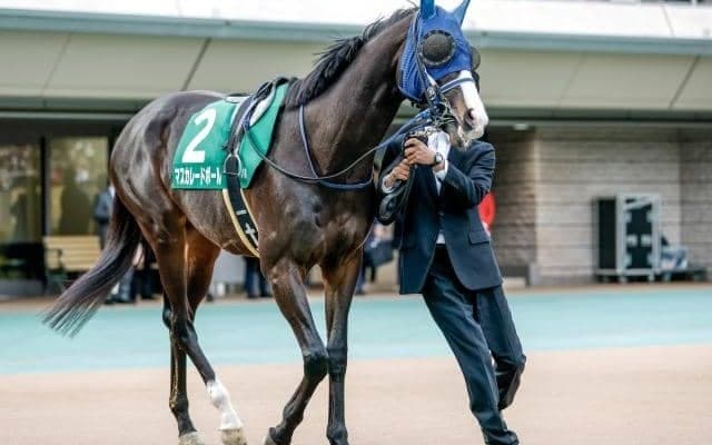マスカレードボールが天皇賞(秋)を制覇 東京芝で“信頼性抜群”の血統背景とは