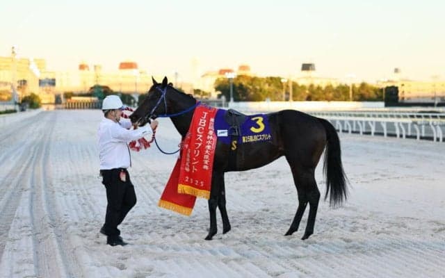 【JBCスプリント】荒山師「来年は海外も視野に」大井所属ファーンヒルが鮮やか逃げきりV