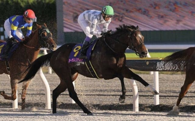 【JBCレディスクラシック】武豊「手応えが急になくなった」オーサムリザルト復活Vならず