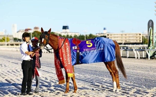 【JBCレディスクラシック】松永幹師「思いきり行こうと話をしていた」7番人気アンモシエラ鮮やか連覇