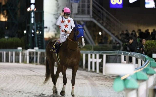 【JBCクラシック】ルメール「馬の状態も完璧」ミッキーファイトが3馬身差の完勝