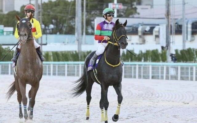 【JBCスプリント】戸崎「ポジションはやはり後ろに…」クロジシジョーは差し脚伸ばすも5着まで