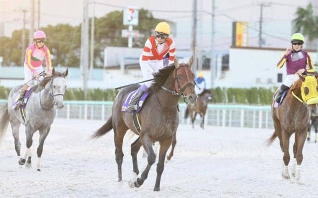 【JBCスプリント】武豊「またすぐチャンスがある」チカッパは4着