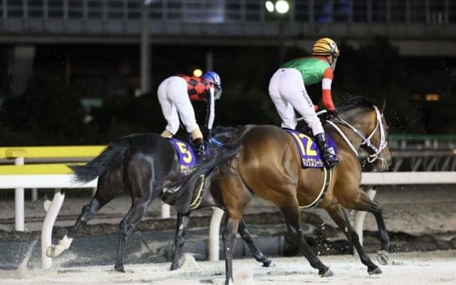 【JBCクラシック】藤岡佑「左回りはあまりよくなさそうです」キングズソードはしぶとく4着