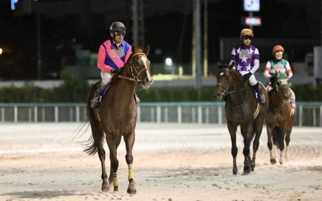 【JBCクラシック】浜中「底力を感じるレース内容」メイショウハリオは力示す2着