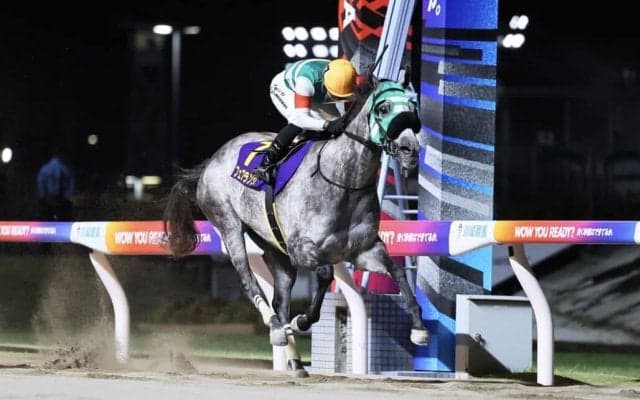 【地方競馬】フェブランシェが総合優勝…グランダム・ジャパン2025古馬・秋シーズン