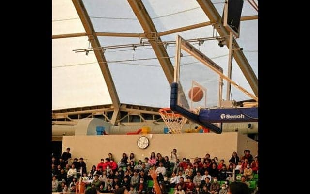 高校女子は富岡東、男子は海部が優勝　全国高校バスケ徳島県予選