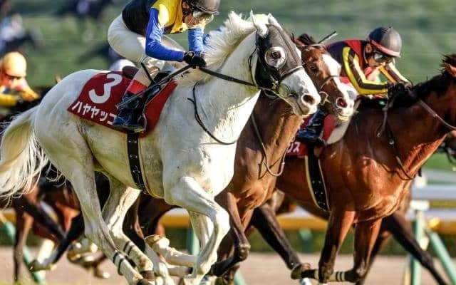 1位は白毛の古豪が魅せた大外一気 アルゼンチン共和国杯の勝ち時計ランキング