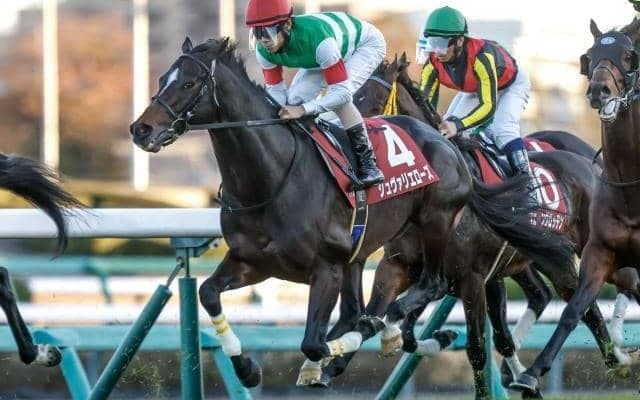 【豪・メルボルンC結果】ハーフユアーズが優勝 日本のシュヴァリエローズは23着