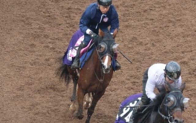 グラスベルグなど、先週の入厩情報/栗東トレセンニュース