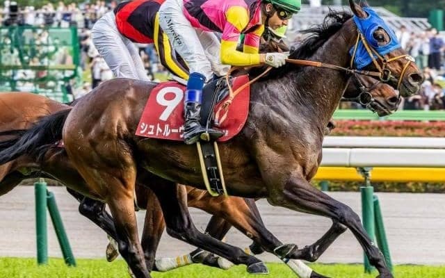 【アルゼンチン共和国杯】シュトルーヴェにかかる史上初の偉業とは？ 復活のGII・3勝目なるか