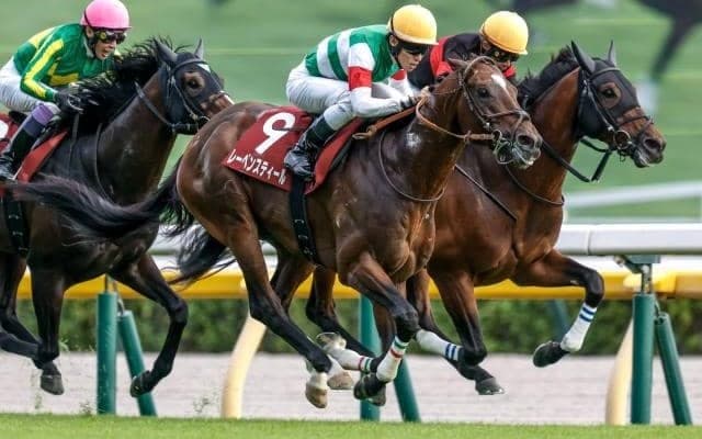 【AR共和国杯予想オッズ】レーベンスティールが予想1番人気