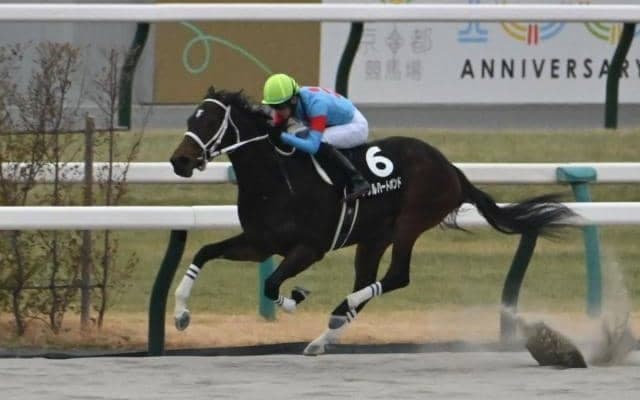 【みやこS予想オッズ】ダブルハートボンドが予想1番人気