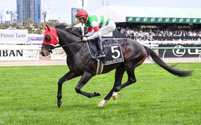 【豪メルボルンカップ】レーン「良い時の走りではなかった」…シュヴァリエローズは23着大敗、女性騎手J.メルハム騎乗ハーフユアーズがV