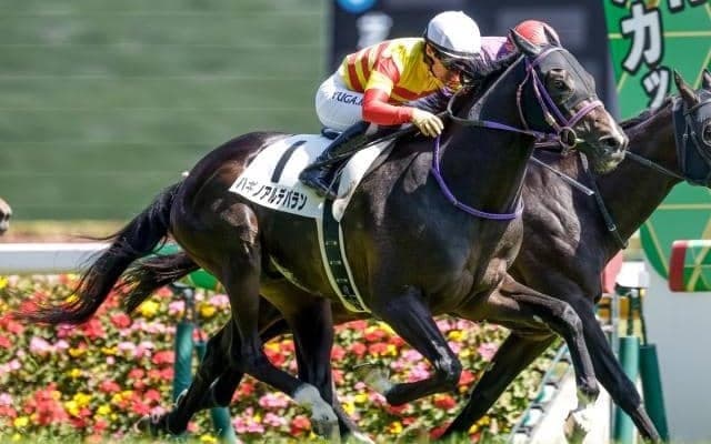 【AR共和国杯展望】ステップレースの格が鍵、3勝クラスからの刺客ハギノアルデバラン